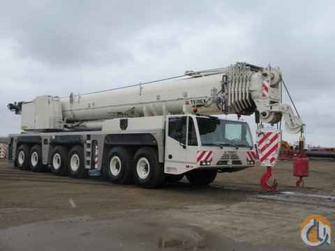 Terex AC 250-1