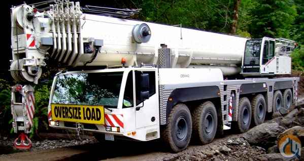 2007 Terex-Demag AC 250-1