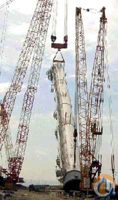 American 11320 Skyhorse