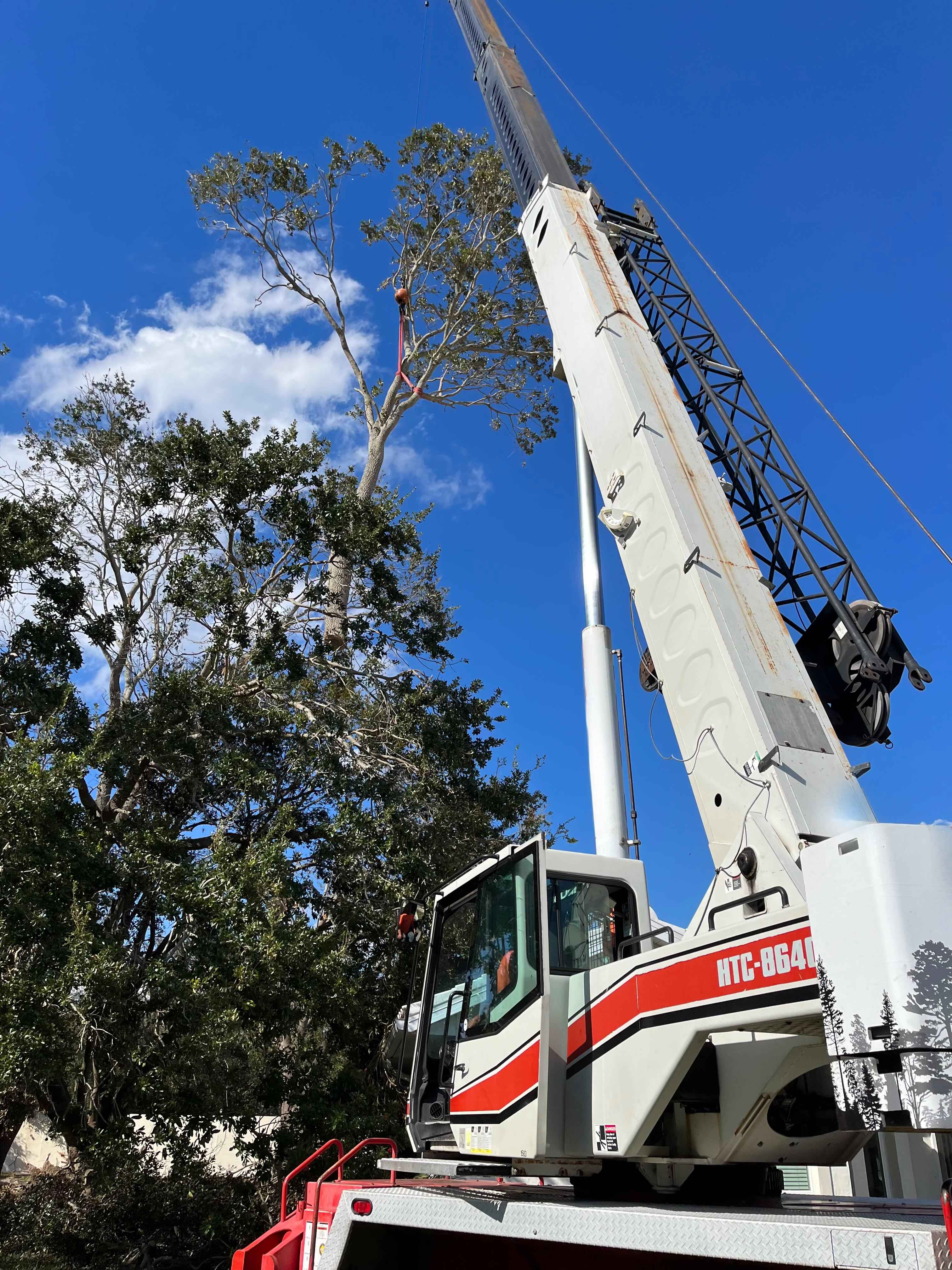 2000 Link-Belt HTC-8650