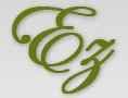 E.Z General Construction Inc