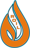 Roil Enterprises