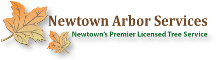 Newtown Arbor Services