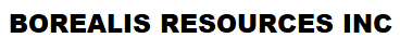 BOREALIS RESOURCES INC