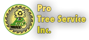 Pro Tree Service
