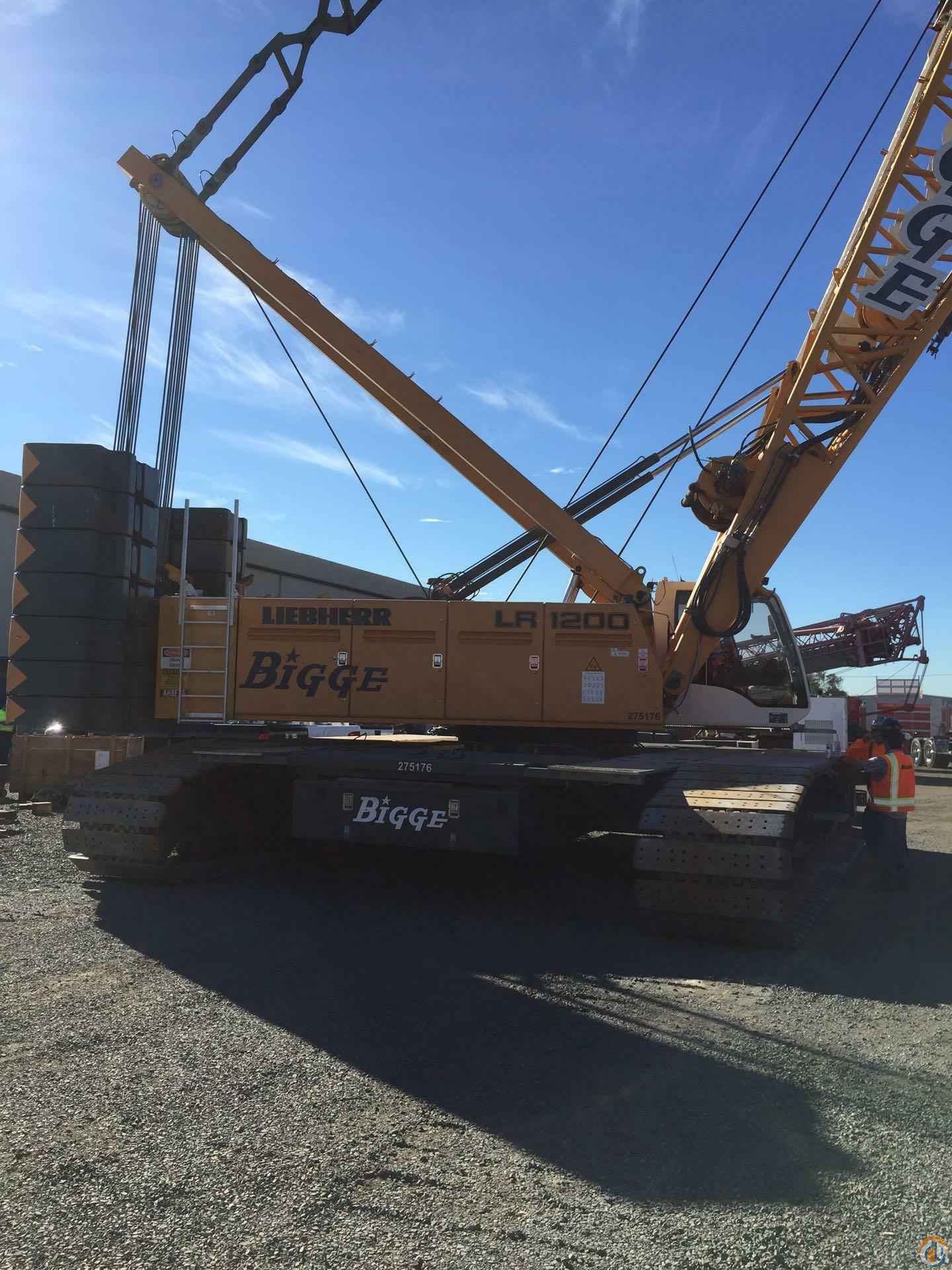 2008 Liebherr LR 1200 SX