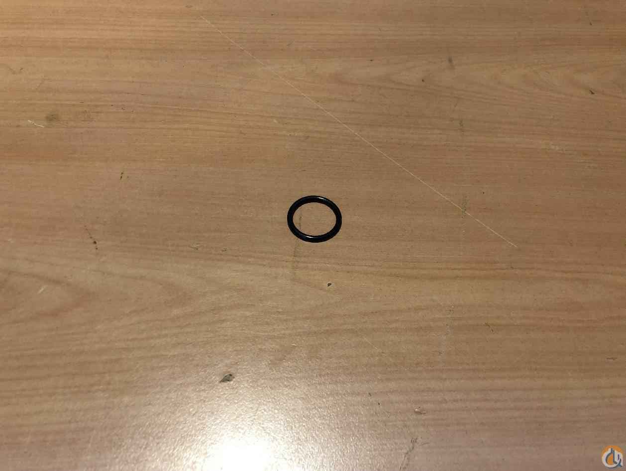 7755912002 - O-RING
