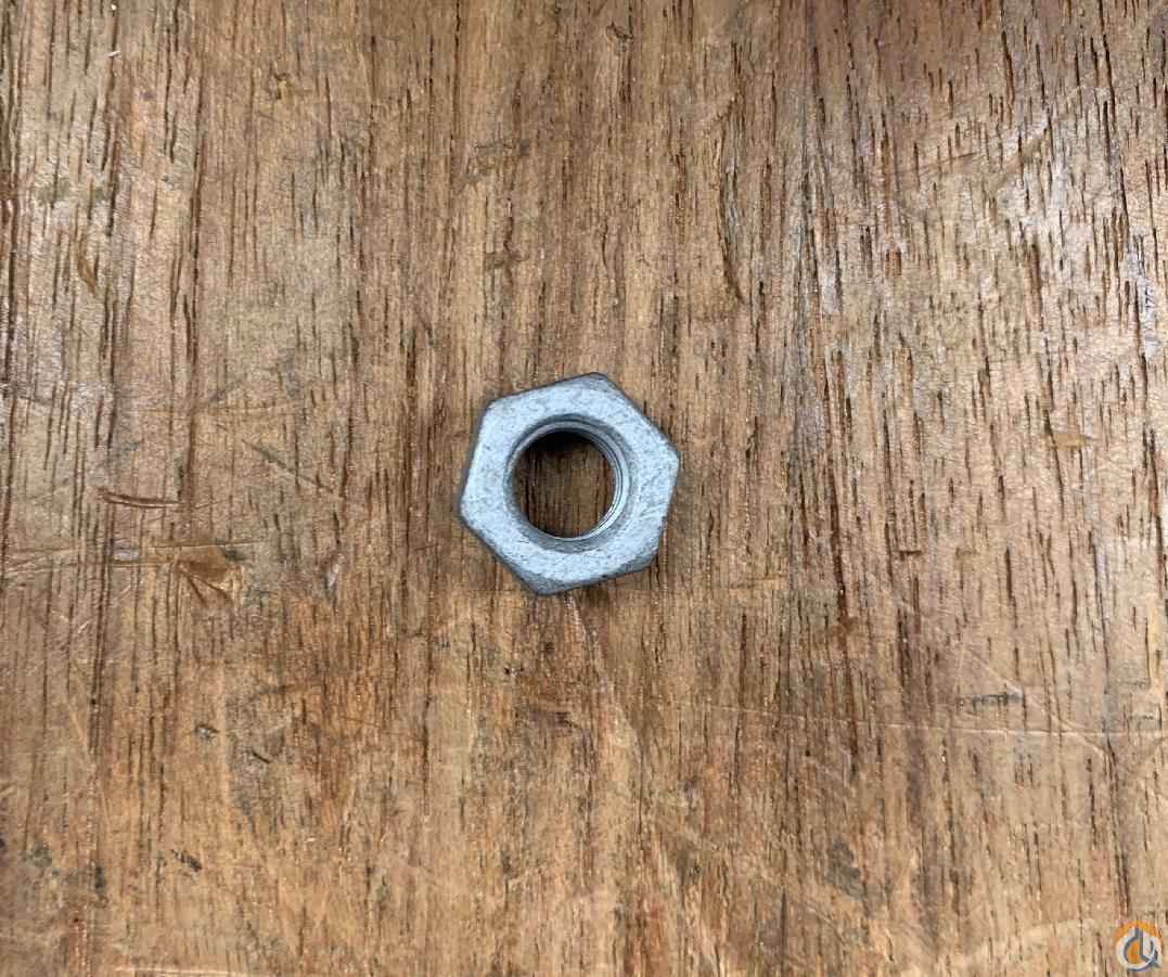 437642 - HEXAGON NUT