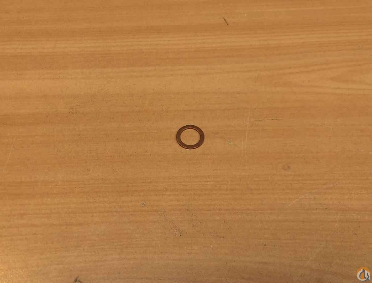 117132 - SEALING RING