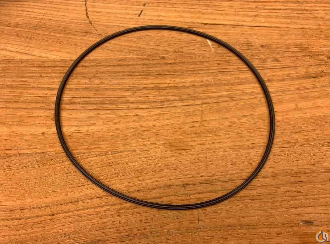 7755265400 - QUAD RING