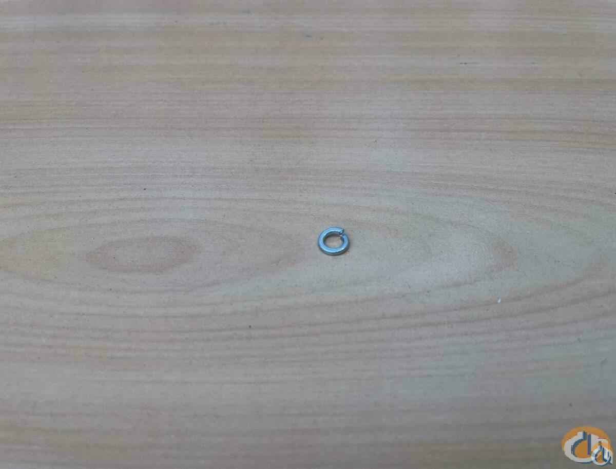 1148072 - SPRING WASHER