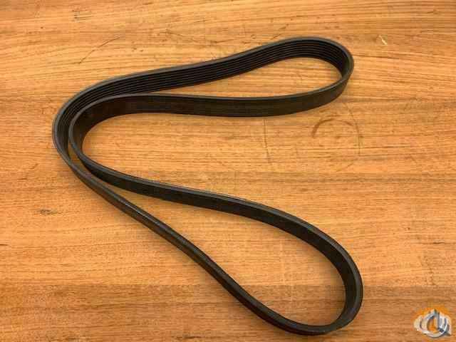 3328612 - V-RIBBED BELT