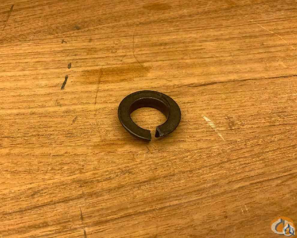 1004433 - WASHER, SPRING LOCK, WHEEL