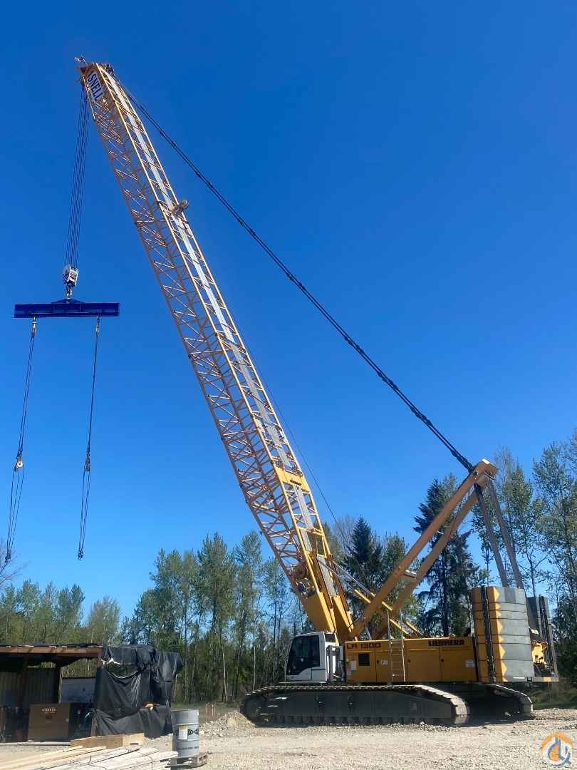 2010 Liebherr LR 1300 SX