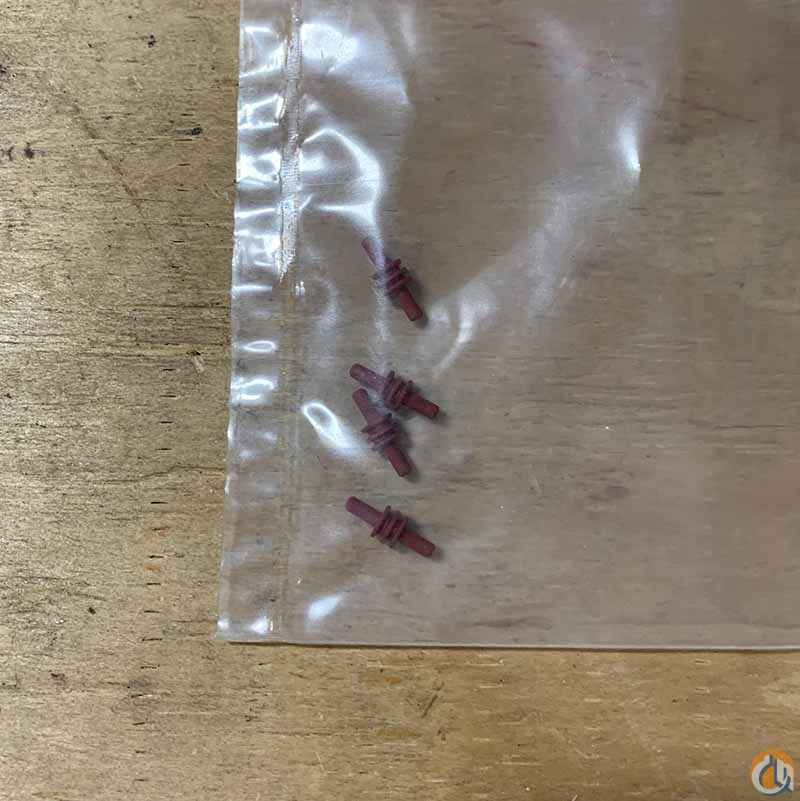 Plug retainer oil seal