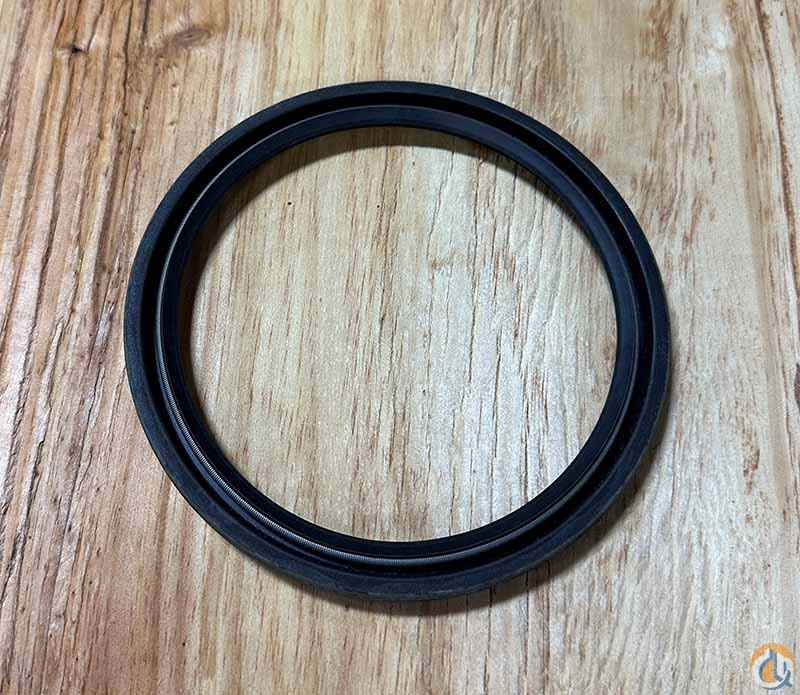 Oil Seal