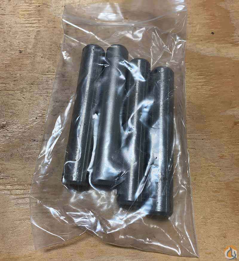 Stainless Steel Pins