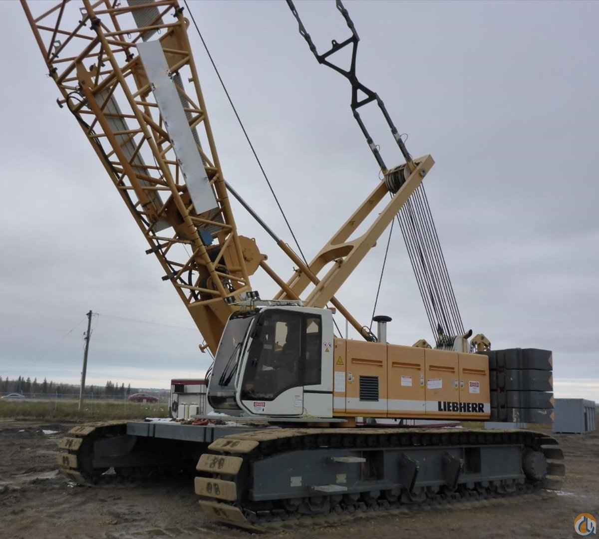 2006 Liebherr LR 1130