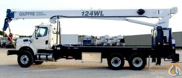 WIRELINE! MANITEX WL 30124 ~ ONE LEFT!