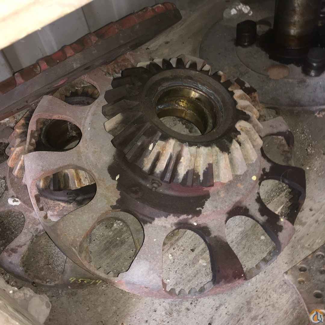 95519 Spider and Pinion 3900W